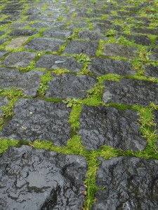 P_20130530_151447